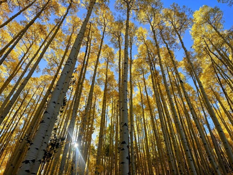 Denver: Guided Hiking Tour & Mountain Town Exploration - Who Should Consider This Tour?