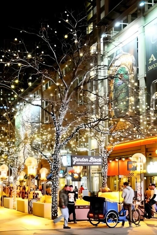 Denver: Holiday Lights & Sights Bus Tour - A Deep Dive into Denver’s Holiday Lights & Sights Tour