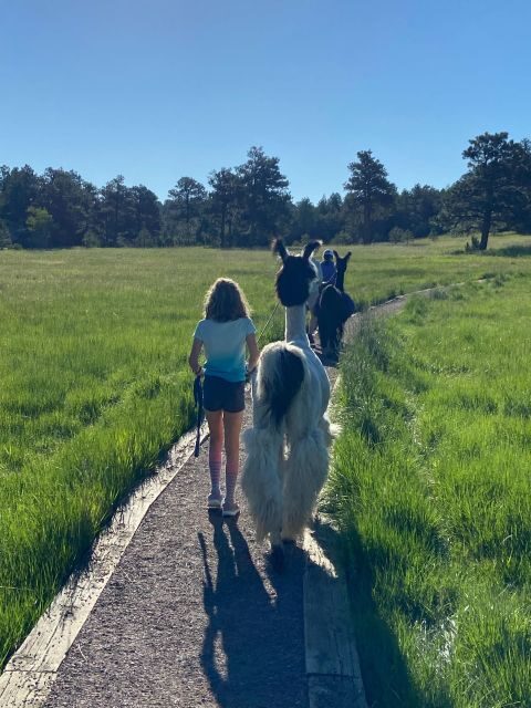 Denver: Llama Hike in the Rocky Mountains - FAQ