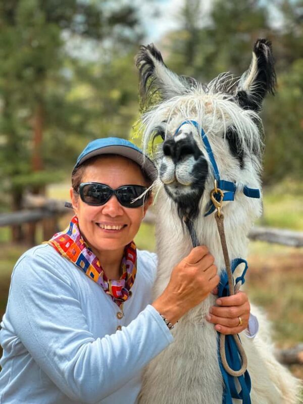 Denver: Llama Lunch in the Rocky Mountains - Key Points