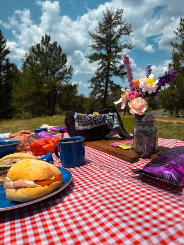 Denver: Llama Lunch in the Rocky Mountains - A Deep Dive into the Rocky Mountain Llama Lunch Experience