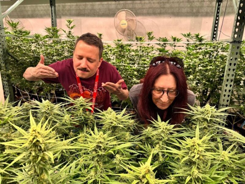 Denver: Private Luxury Cannabis Tour - An In-Depth Look at the Denver Private Luxury Cannabis Tour