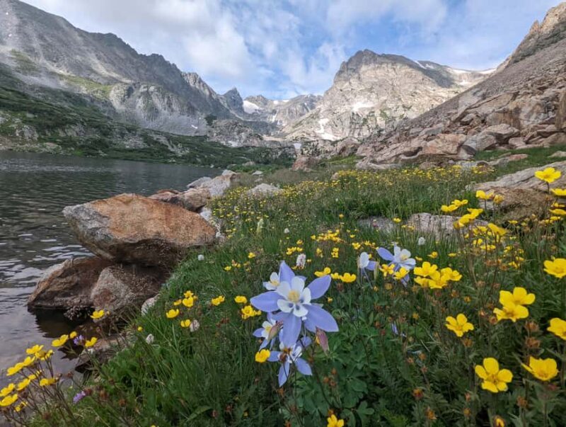 Denver: Private Rocky Mountain National Park Wildlife Tour - The Experience in Depth