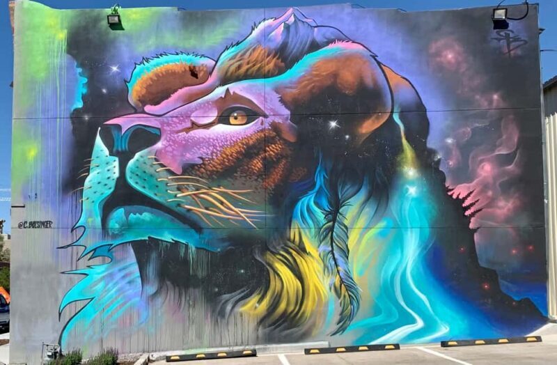 Denver: RiNo Art District "Happy Hour" Street Art Tour - Who Should Take This Tour?