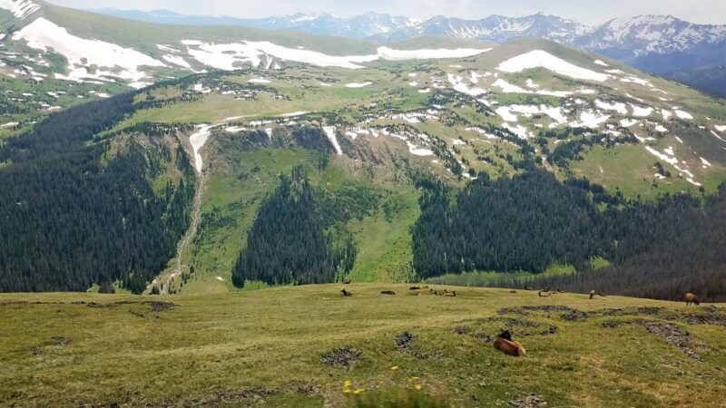 Denver: Rocky Mountain National Park Tour with Picnic Lunch - FAQ
