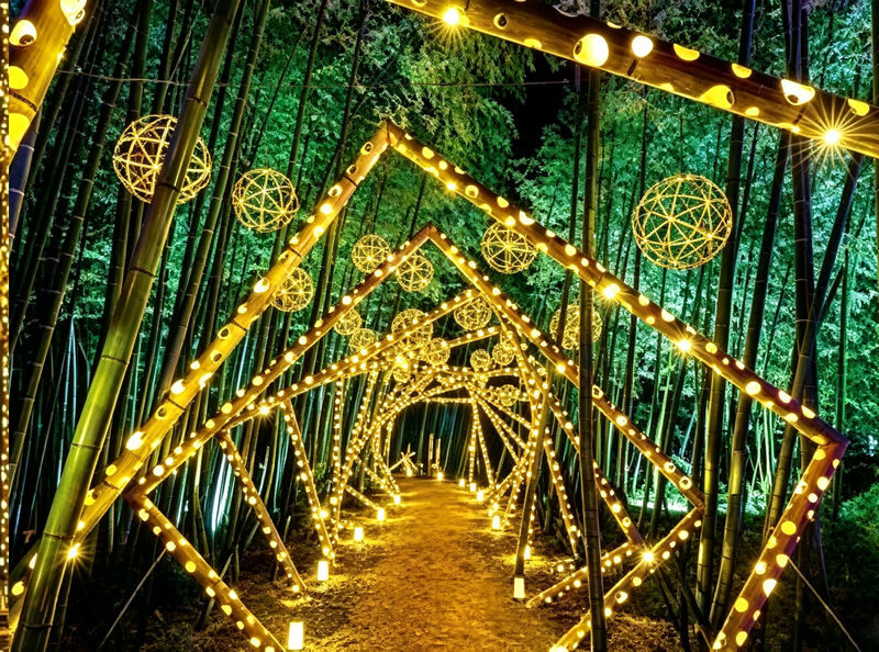Depart at noon Arashiyama Moon Lantern Festival Limited | Kyoto Fushimi Inari Shrine & Nara Park Day Trip (Small Group with Driver-Guide, Optional Hotel Pickup) - Three Kyoto-area sights in one afternoon