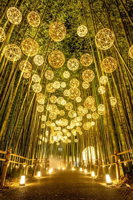 Depart at noon Arashiyama Moon Lantern Festival Limited | Kyoto Fushimi Inari Shrine & Nara Park Day Trip (Small Group with Driver-Guide, Optional Hotel Pickup) - Fushimi Inari: the torii gates in a short visit
