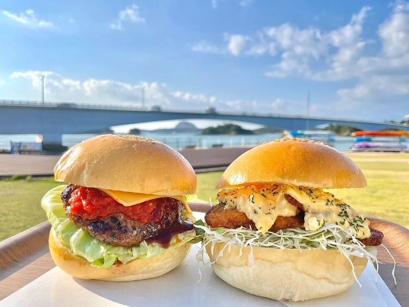 Depart from Kumamoto: Amakusa Wild Dolphin Watching and Juicy Burger Set - At a glance: what this day trip includes