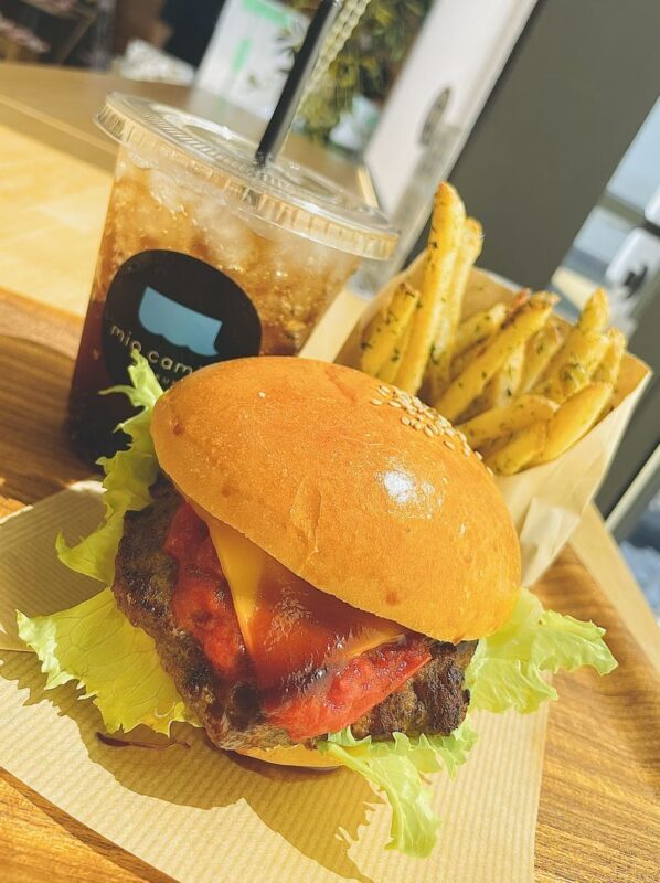 Depart from Kumamoto: Amakusa Wild Dolphin Watching and Juicy Burger Set - A two-hour boat trip in search of wild dolphins