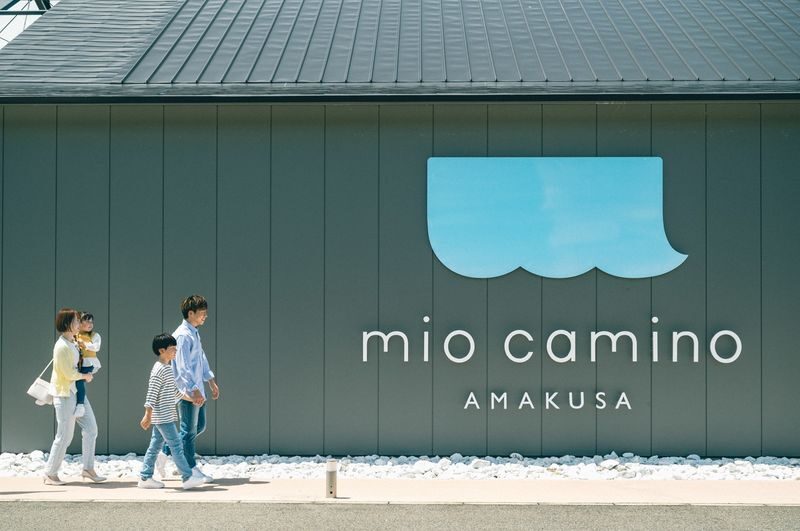 Depart from Kumamoto: Amakusa Wild Dolphin Watching and Juicy Burger Set - Is the $68.10 package good value?