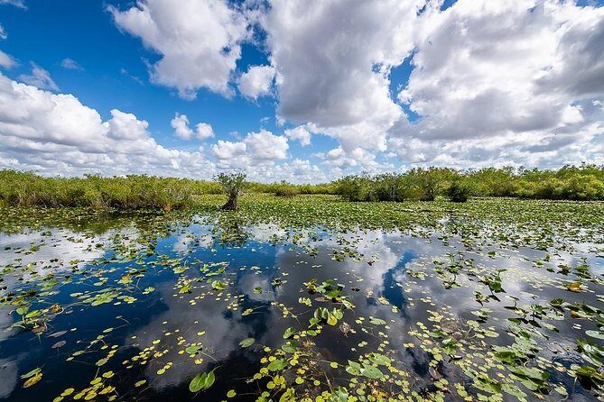Depart from Miami to discover the Everglades with Airboat tour included! - Key Points