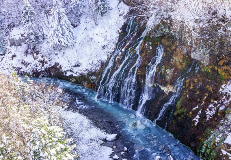 Departing at 11:00: Blue Pond Illumination & Ningle Terrace & Christmas Tree & Shirogane Blue Pond & Shikisai-no-Oka One-Day Tour | Departing from Sapporo - Practical details before you go