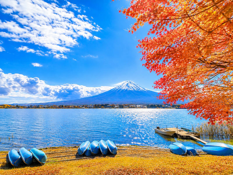 Departing Daily from Tokyo: Mount Fuji 5th Station, Lake Kawaguchi, Oshino Hakkai & Gotemba Premium Outlets 1-Day Tour (Optional Japanese Lunch) - Who should book this Fuji day trip?