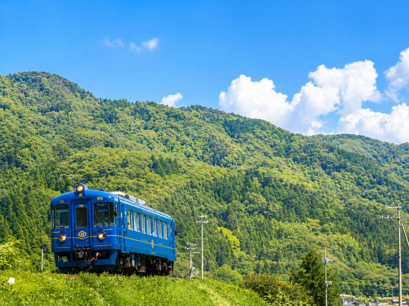 Departing from Kyoto: Sea of Kyoto x Japan Sea Scenic Views - Amanohashidate, Mikata Goko, Sea Sightseeing Train, and Seafood Market Day Tour - At a glance