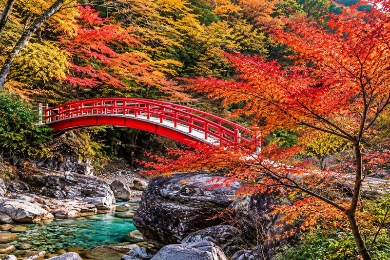 Departing from Nagoya: Chubu Shoryudo - Tsumago-juku & Magome-juku & Ryujin Waterfall Tour - At a glance