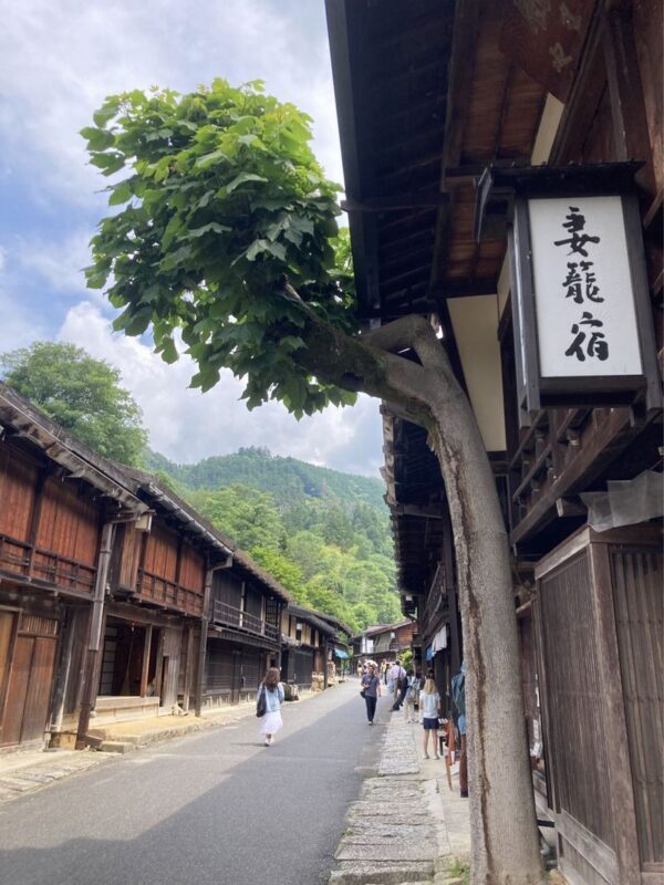 Departing from Nagoya: Chubu Shoryudo - Tsumago-juku & Magome-juku & Ryujin Waterfall Tour - The guide, the pace, and what you should expect