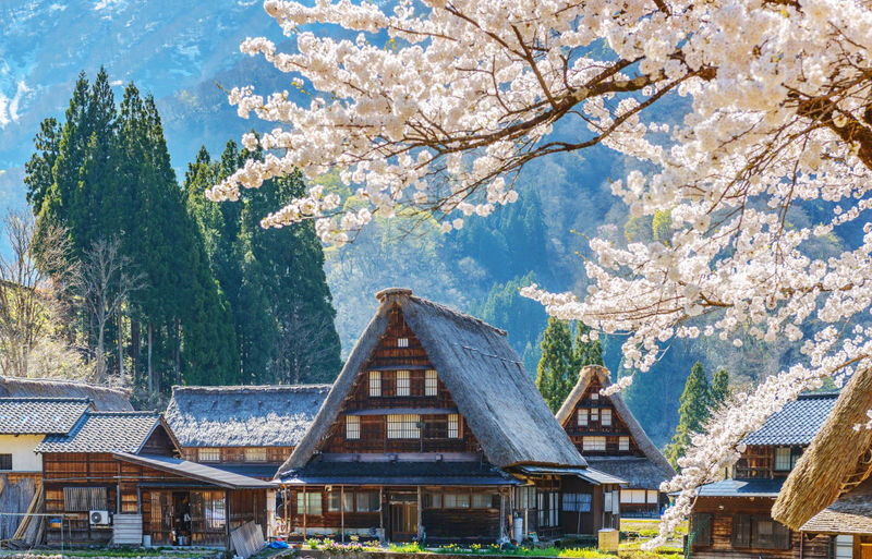 Departing from Nagoya: Hida Takayama & Shirakawa-go Gassho-zukuri Village Day Trip - Key points to know before you go