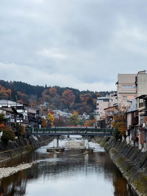 Departing from Nagoya-Takayama Old Town + Shirakawa-go Illumination (excluding observation deck) - A van ride, not a guided coach tour