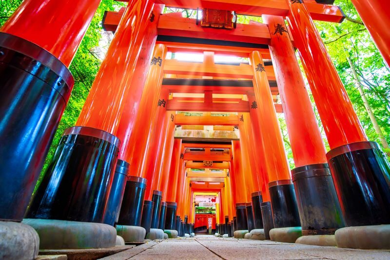 Departing from Osaka: Fushimi Inari Shrines Senbon Torii, Nara Park, Todai-ji Temple, Tsubosaka-dera Temples Hidden Gem / Yoshino Mountain Autumn Leaves One-Day Tour - Choosing the route before you book