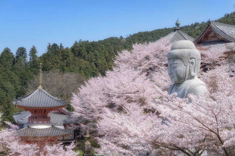 Departing from Osaka: Fushimi Inari Shrines Senbon Torii, Nara Park, Todai-ji Temple, Tsubosaka-dera Temples Hidden Gem / Yoshino Mountain Autumn Leaves One-Day Tour - What the price covers, and what it does not