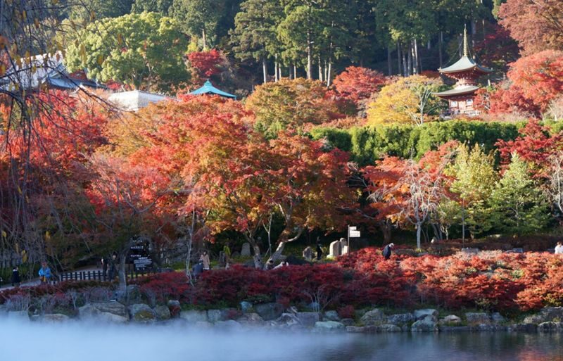 (Departing from Osaka) Katsuo-ji Temple Daruma Prayer + Miyama Thatched Village + Kyoto Arashiyama Bamboo Forest + Nonomiya Shrine One-Day Tour - A big day out from Osaka