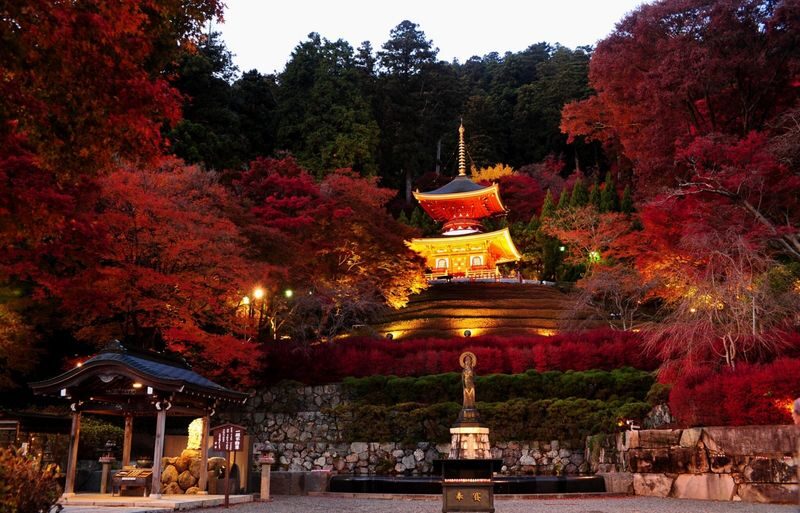 (Departing from Osaka) Katsuo-ji Temple Daruma Prayer + Miyama Thatched Village + Kyoto Arashiyama Bamboo Forest + Nonomiya Shrine One-Day Tour - Miyama: a quieter view of rural Kyoto