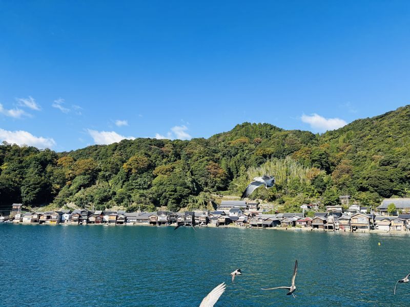 (Departing from Osaka/Kyoto) Kyoto by the Sea Day Trip: Amanohashidate, Ine Funaya, Ine Bay Boat Tour, Chionji Temple, Optional Tango Sea Train - Walking through Ine’s funaya village
