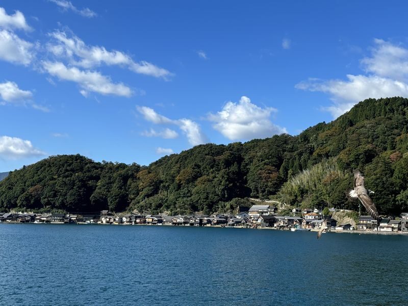 (Departing from Osaka/Kyoto) Kyoto by the Sea Day Trip: Amanohashidate, Ine Funaya, Ine Bay Boat Tour, Chionji Temple, Optional Tango Sea Train - Chion-ji Temple at Amanohashidate