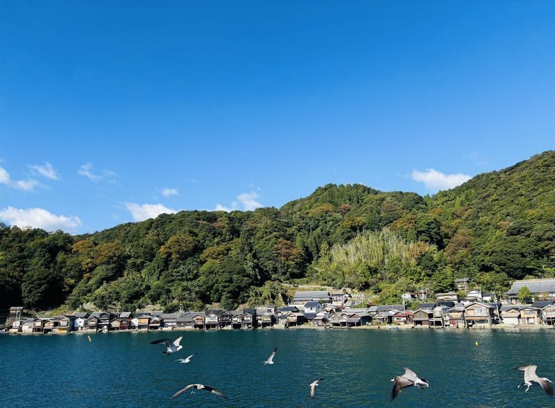 (Departing from Osaka/Kyoto) Kyoto by the Sea Day Trip: Amanohashidate, Ine Funaya, Ine Bay Boat Tour, Chionji Temple, Optional Tango Sea Train - The Tango Sea Train option