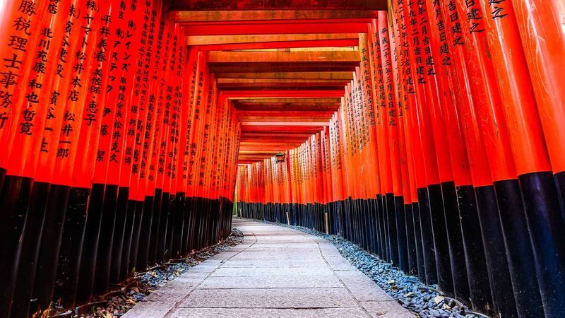 Departing from Osaka | Kyoto Nara Classic & Mountain Secrets Small Group Tour: Fushimi Inari-Nara Park or Arashiyama-Sanzenin-Kifune Shrine Dual Plans Available - Nara Park and Todaiji Temple