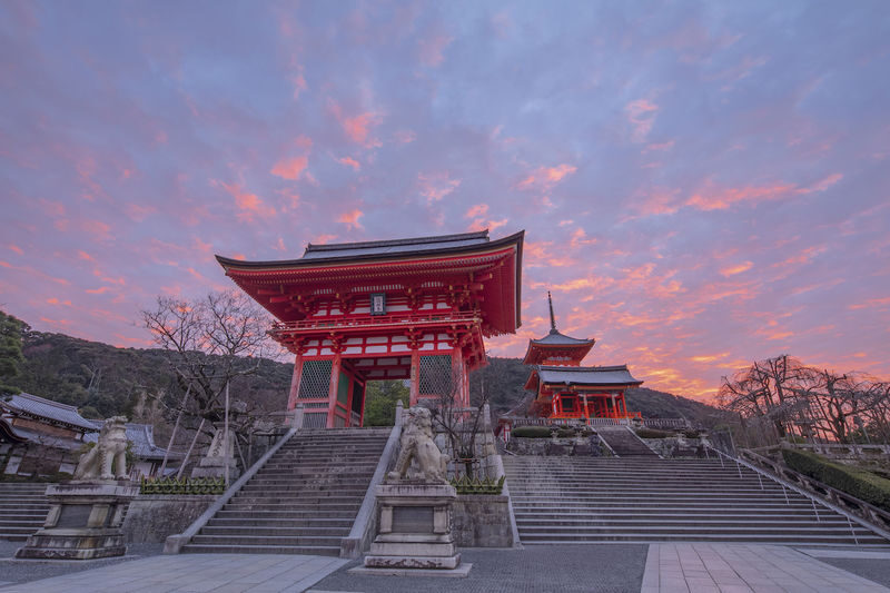 Departing from Osaka | Kyoto Nara Classic & Mountain Secrets Small Group Tour: Fushimi Inari-Nara Park or Arashiyama-Sanzenin-Kifune Shrine Dual Plans Available - What the driver does, and what you do