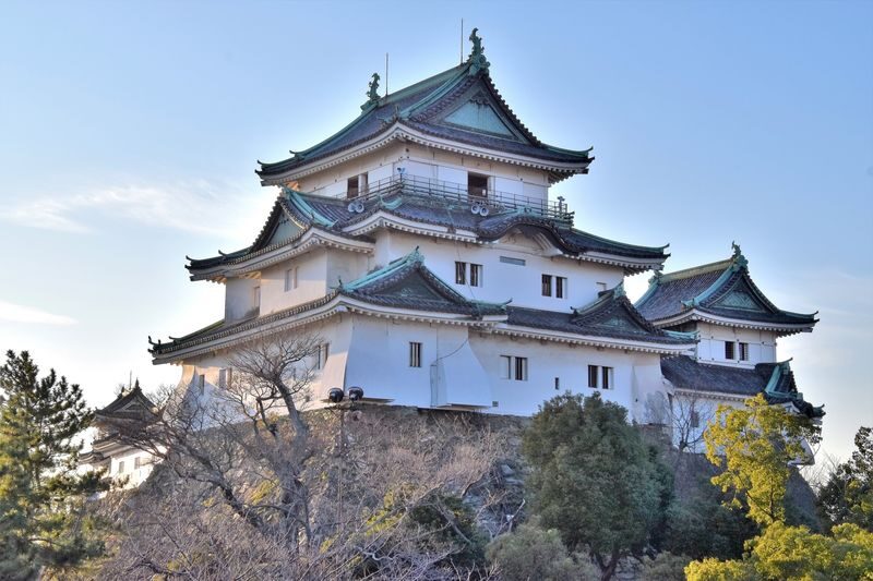 Departing from Osaka Namba: Wakayama Shirahama One-Day Tour: Wakayama Castle-Toretore Market-Shirahama Beach-Sandanbeki Cliffs-Senjojiki - A full day from Namba to Wakayama