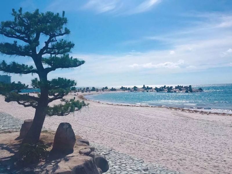 Departing from Osaka Namba: Wakayama Shirahama One-Day Tour: Wakayama Castle-Toretore Market-Shirahama Beach-Sandanbeki Cliffs-Senjojiki - Sandanbeki brings the cliffs close