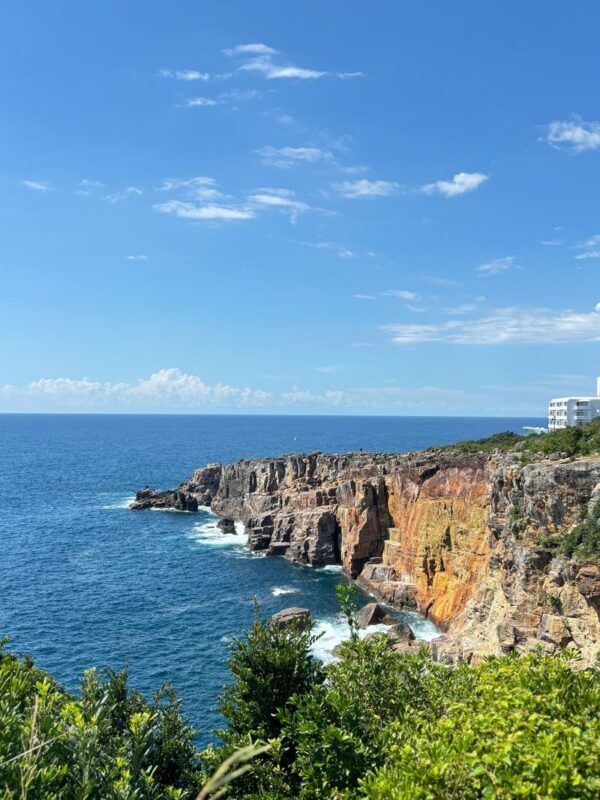 Departing from Osaka Namba: Wakayama Shirahama One-Day Tour: Wakayama Castle-Toretore Market-Shirahama Beach-Sandanbeki Cliffs-Senjojiki - The schedule is efficient, not leisurely