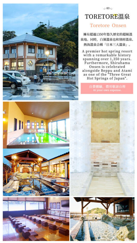 (Departing from Osaka) Wakayama Shirahama Day Trip: Cat Stationmaster Kishi Station & Toretore Seafood Market & Senjojiki Coast Scenic View - Senjojiki’s sculpted rock plateau