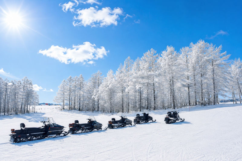 Departing from Sapporo: Furano & Biei Winter Day Tour | Shikisai-no-Oka Snow Play - What makes this winter day trip worthwhile