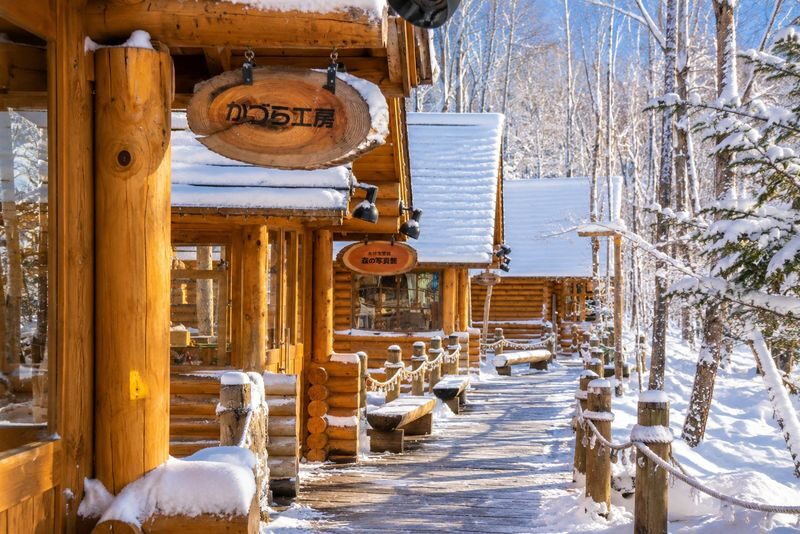 Departing from Sapporo: Furano & Biei Winter Day Tour | Shikisai-no-Oka Snow Play - A full day out from Sapporo