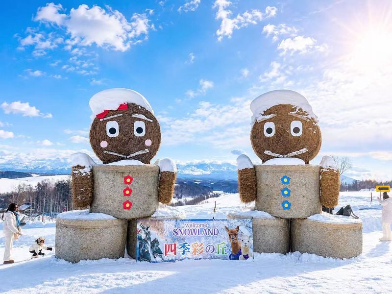 Departing from Sapporo: Furano & Biei Winter Day Tour | Shikisai-no-Oka Snow Play - Shikisai-no-Oka, the day’s snow-play center