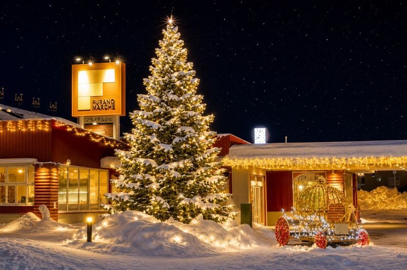 Departing from Sapporo: Furano & Biei Winter Day Tour | Shikisai-no-Oka Snow Play - Winter essentials and the best fit