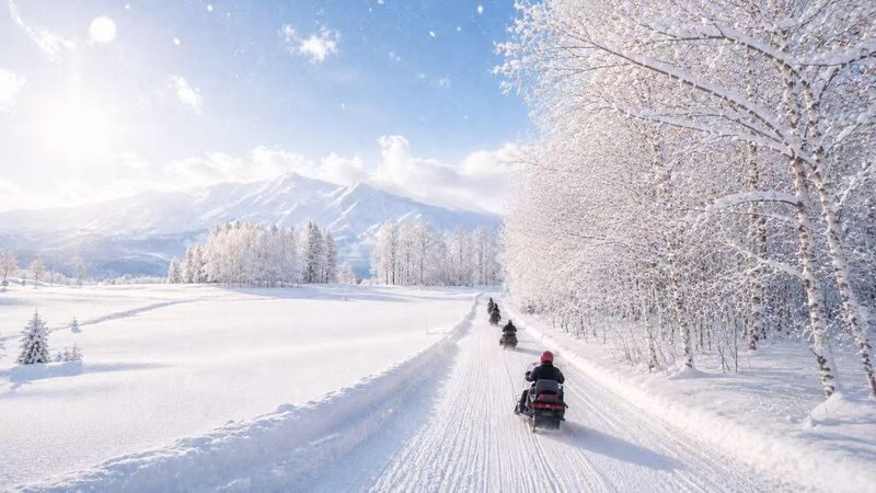 Departing from Sapporo: Furano & Biei Winter Day Tour | Shikisai-no-Oka Snow Play - Should you book this Sapporo winter tour?