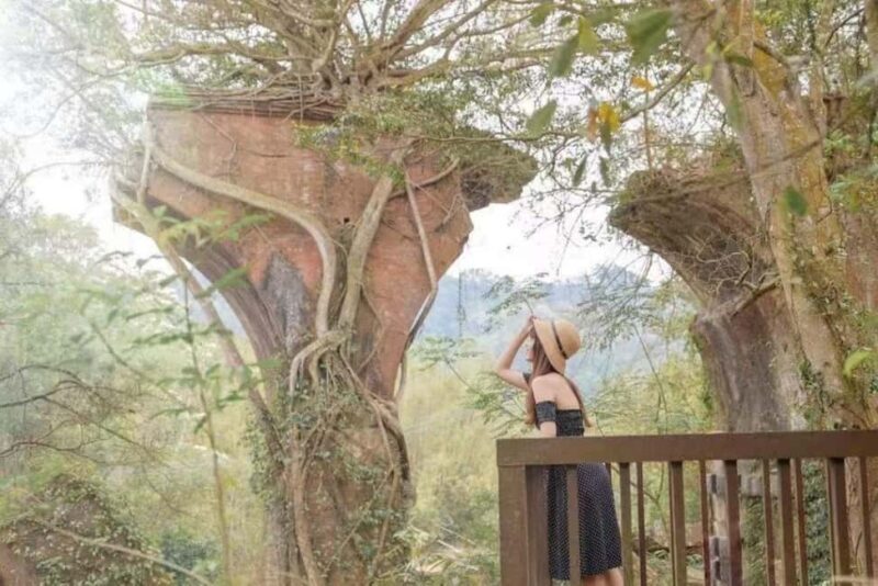 Departing from Taipei or Taichung: Deep travel in Miaoli - Who Should Consider This Tour?