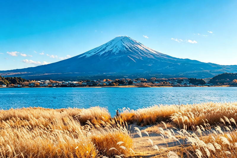 Departing from Tokyo: Full-Day Sightseeing Tour of Mount Fuji and Lake Kawaguchiko - Oshino Hakkai: village lanes and spring water