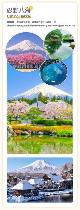 Departing from Tokyo: Mount Fuji and Lake Kawaguchiko 5 Major Attractions Day Trip - The guide can make a tight day feel easier