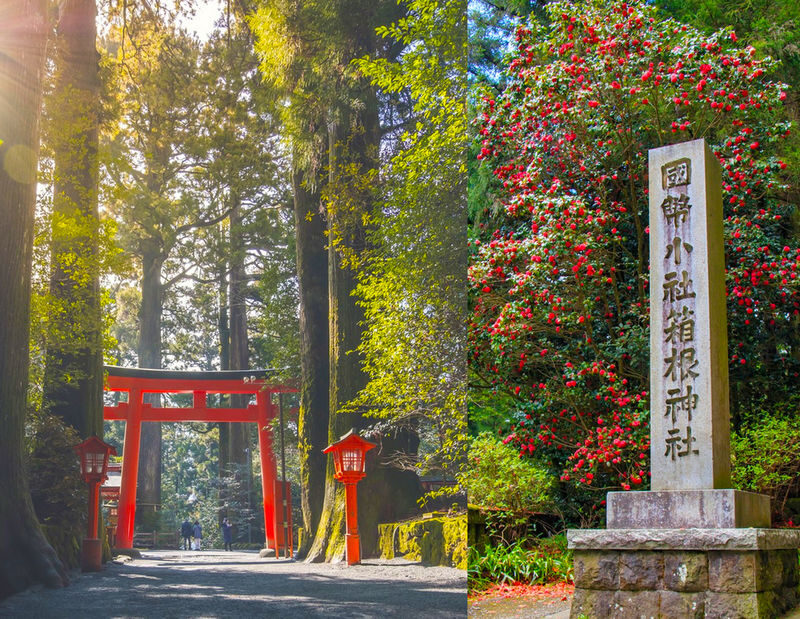 Departing from Tokyo: Mount Fuji Hakone Day Trip - Owakudani Ropeway, Hakone Shrine, Nichikawa Clock Shop, Arakurayama Sengen Park - Lunch is flexible, not included