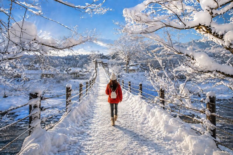 Departing from Tokyo: Shirakawa-go and Mount Fuji Scenic 2-Day Tour (Winter Illumination Optional) - From Tokyo to the Hida mountains