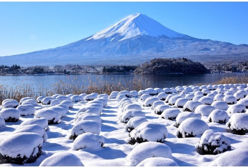 Departing from Tokyo: Shirakawa-go and Mount Fuji Scenic 2-Day Tour (Winter Illumination Optional) - Is this the right two-day trip for you?