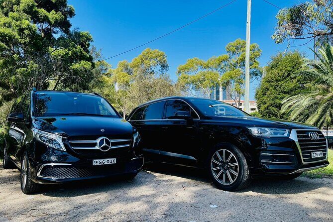 Departing Sydney: Luxury Transfer to Airport or Cruise Port - Who Might Want to Consider Other Options