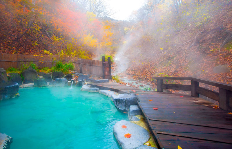 Departure from Kumamoto, Kyushu: Takachiho Gorge & Mount Aso Daikanbo & Kurokawa Onsen Day Tour - The guide and vehicle shape the day