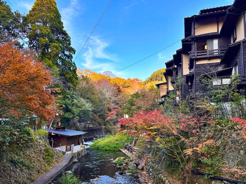 Departure from Kumamoto, Kyushu: Takachiho Gorge & Mount Aso Daikanbo & Kurokawa Onsen Day Tour - Price is about convenience, not a private itinerary