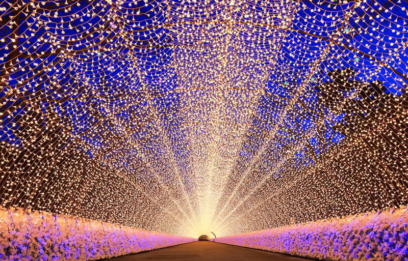 Departure from Nagoya | Japans Largest Illumination Show, Nabana no Sato + Nagashima Outlet One-Day Tour - At a glance